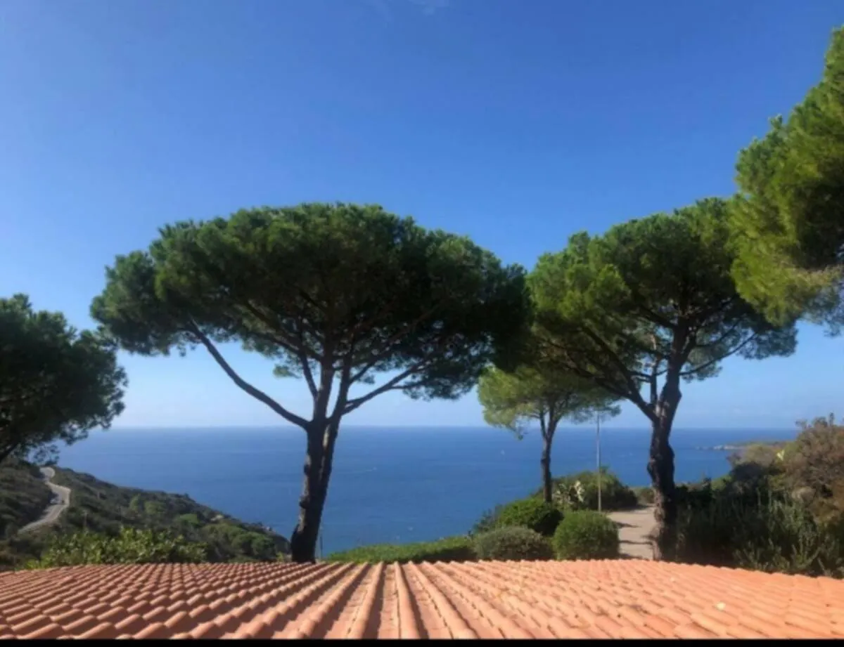 Bilo Cavoli Apartment Marina di Campo